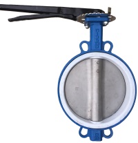 Баттерфляй PTFE